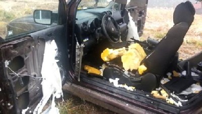 Bears Destroy Honda Element for Mints and Gum